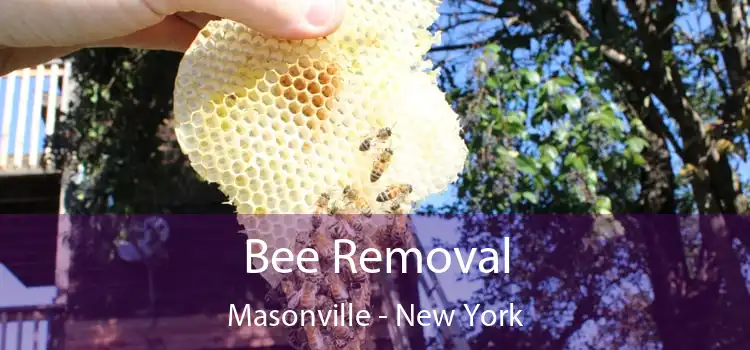 Bee Removal Masonville - New York