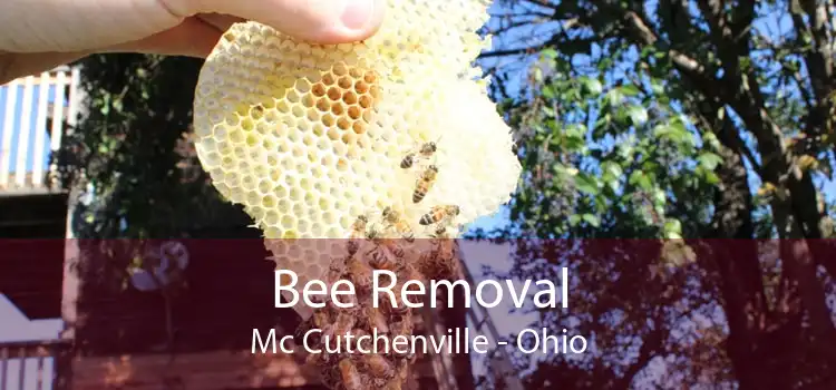 Bee Removal Mc Cutchenville - Ohio