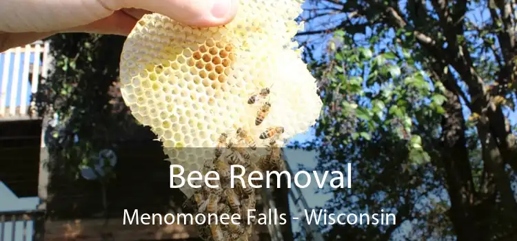 Bee Removal Menomonee Falls - Wisconsin