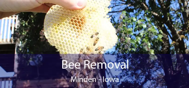 Bee Removal Minden - Iowa