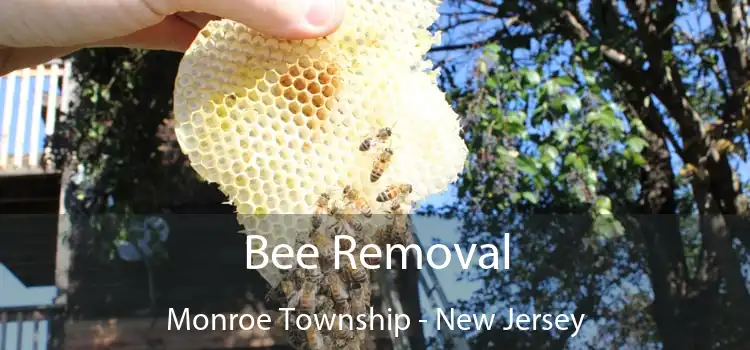 Bee Removal Monroe Township - New Jersey