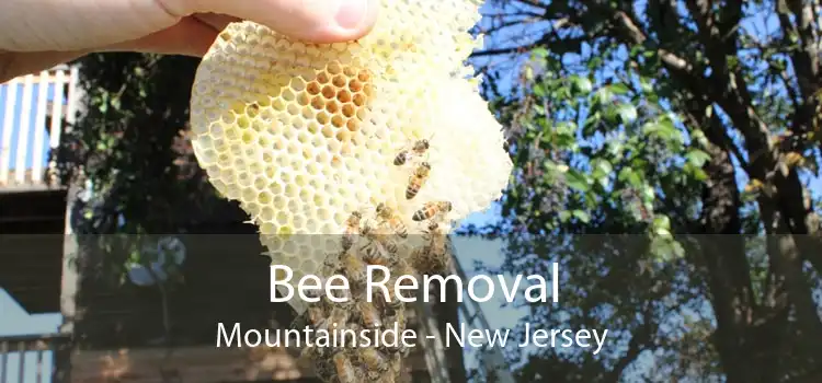 Bee Removal Mountainside - New Jersey