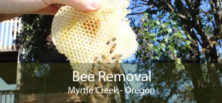 Bee Removal Myrtle Creek - Oregon