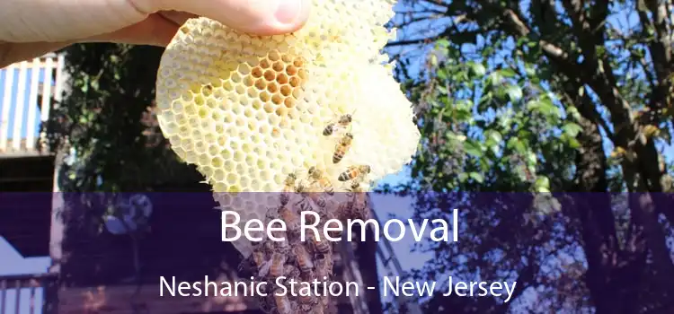 Bee Removal Neshanic Station - New Jersey