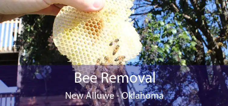 Bee Removal New Alluwe - Oklahoma