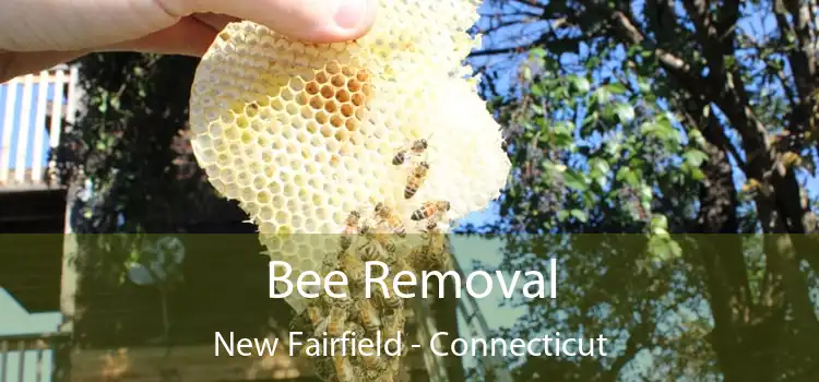 Bee Removal New Fairfield - Connecticut