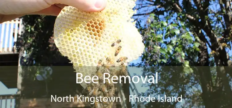 Bee Removal North Kingstown - Rhode Island