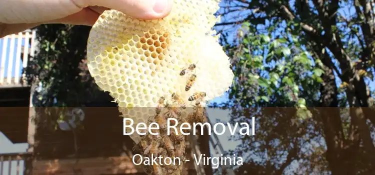 Bee Removal Oakton - Virginia