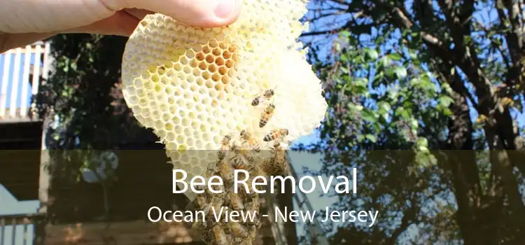 Bee Removal Ocean View - New Jersey