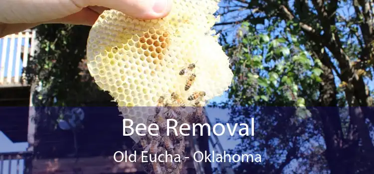 Bee Removal Old Eucha - Oklahoma