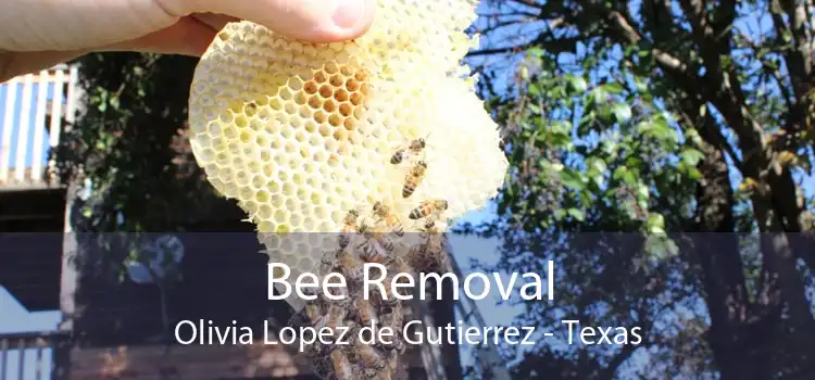 Bee Removal Olivia Lopez de Gutierrez - Texas