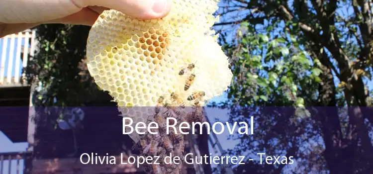 Bee Removal Olivia Lopez de Gutierrez - Texas