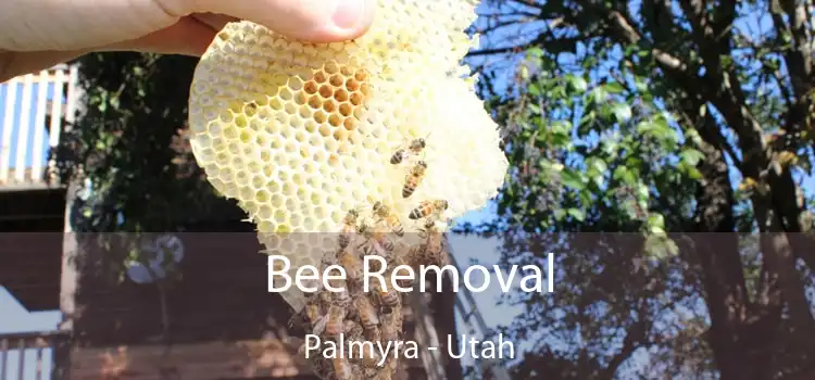 Bee Removal Palmyra - Utah