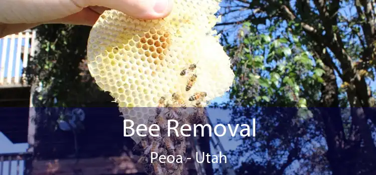 Bee Removal Peoa - Utah