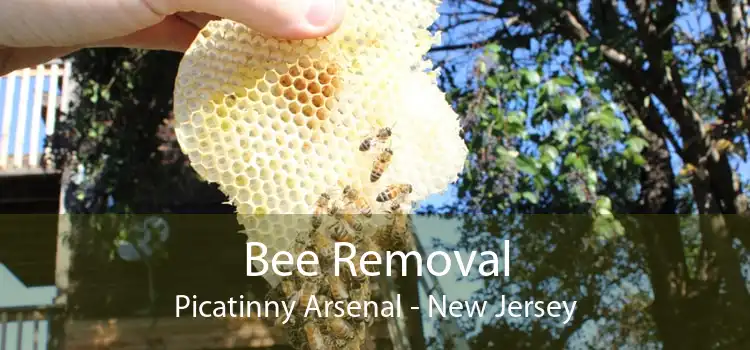 Bee Removal Picatinny Arsenal - New Jersey