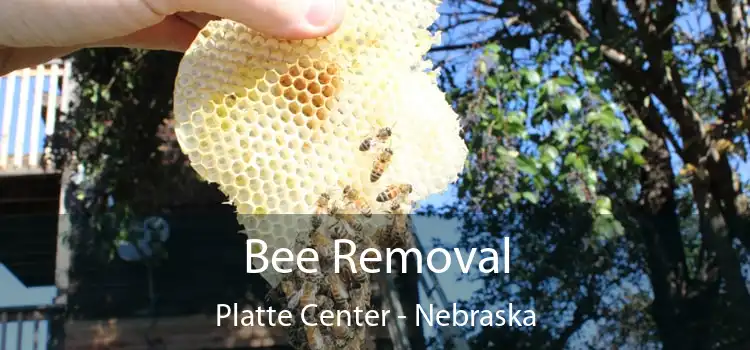 Bee Removal Platte Center - Nebraska