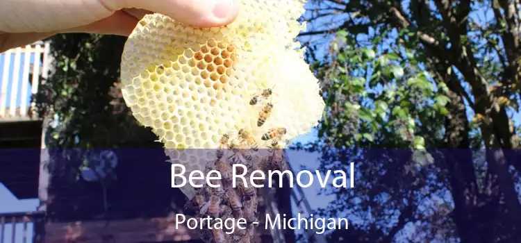 Bee Removal Portage - Michigan