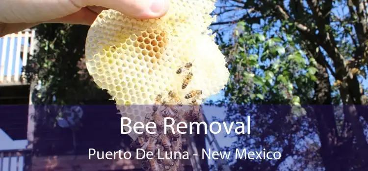 Bee Removal Puerto De Luna - New Mexico