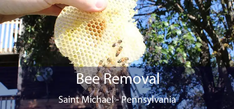 Bee Removal Saint Michael - Pennsylvania