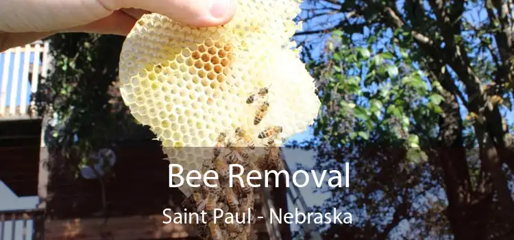 Bee Removal Saint Paul - Nebraska