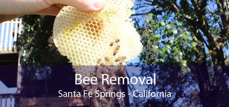 Bee Removal Santa Fe Springs - California