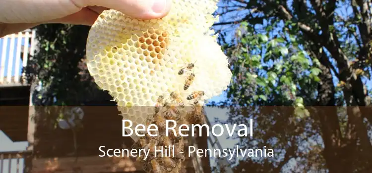 Bee Removal Scenery Hill - Pennsylvania
