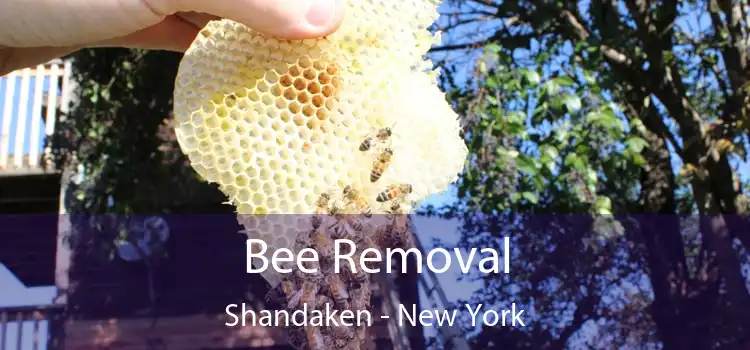 Bee Removal Shandaken - New York