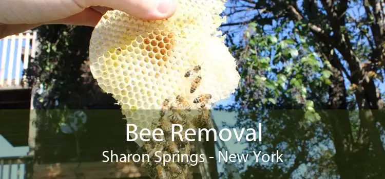 Bee Removal Sharon Springs - New York