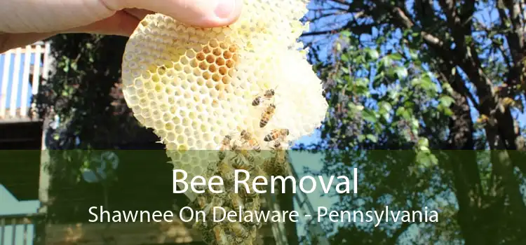 Bee Removal Shawnee On Delaware - Pennsylvania