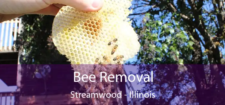 Bee Removal Streamwood - Illinois