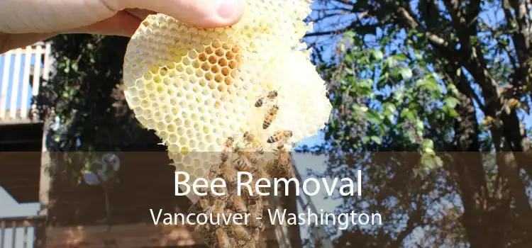 Bee Removal Vancouver - Washington