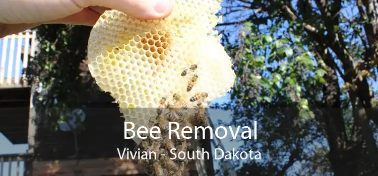 Bee Removal Vivian - South Dakota