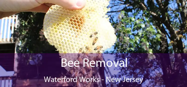 Bee Removal Waterford Works - New Jersey