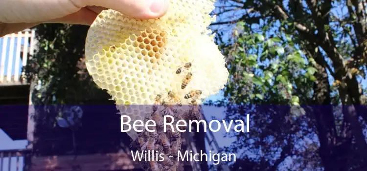 Bee Removal Willis - Michigan