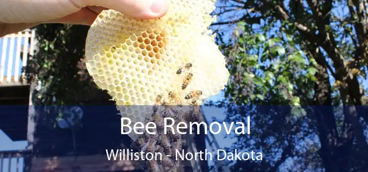 Bee Removal Williston - North Dakota