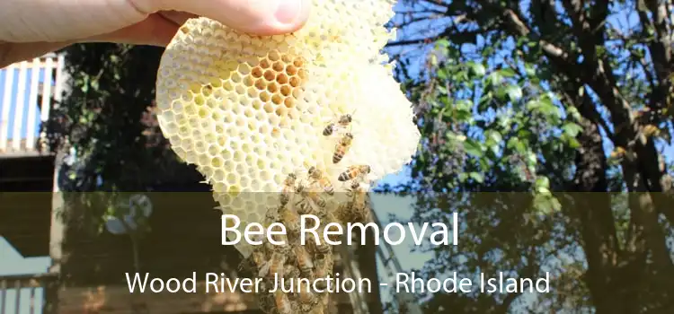 Bee Removal Wood River Junction - Rhode Island