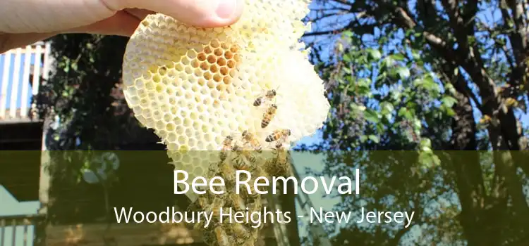 Bee Removal Woodbury Heights - New Jersey
