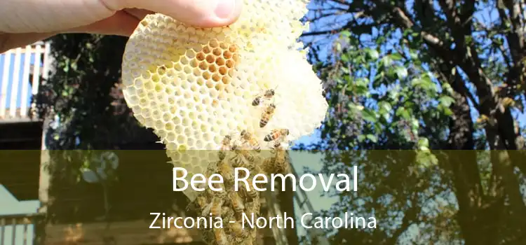 Bee Removal Zirconia - North Carolina