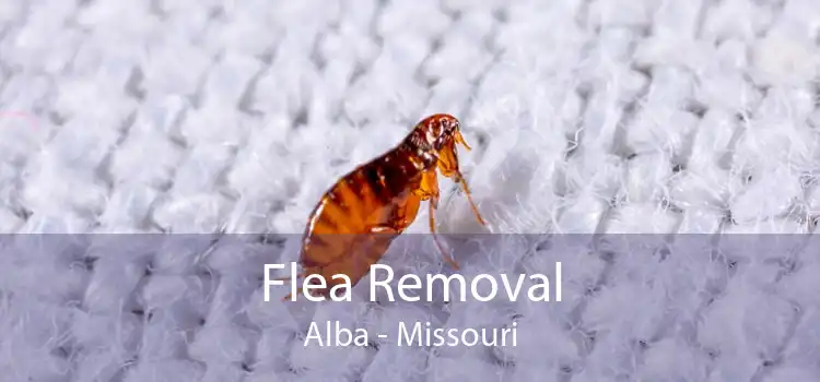 Flea Removal Alba - Missouri