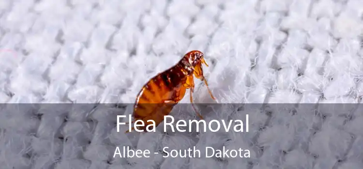 Flea Removal Albee - South Dakota