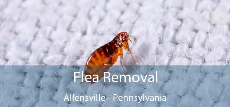 Flea Removal Allensville - Pennsylvania