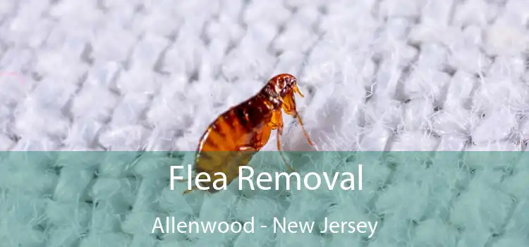 Flea Removal Allenwood - New Jersey