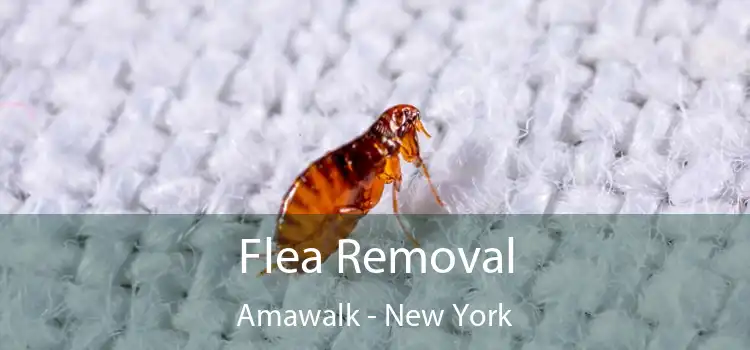 Flea Removal Amawalk - New York