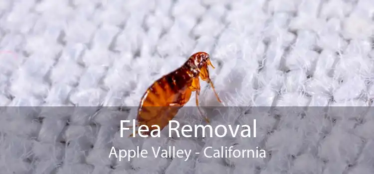 Flea Removal Apple Valley - California