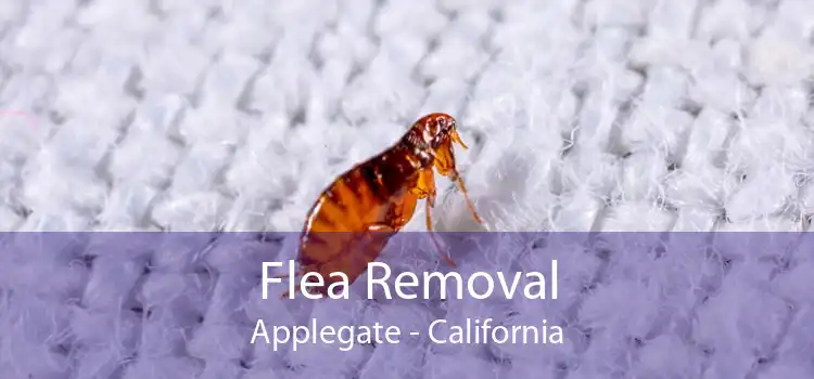 Flea Removal Applegate - California
