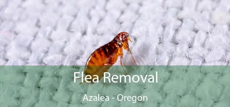 Flea Removal Azalea - Oregon