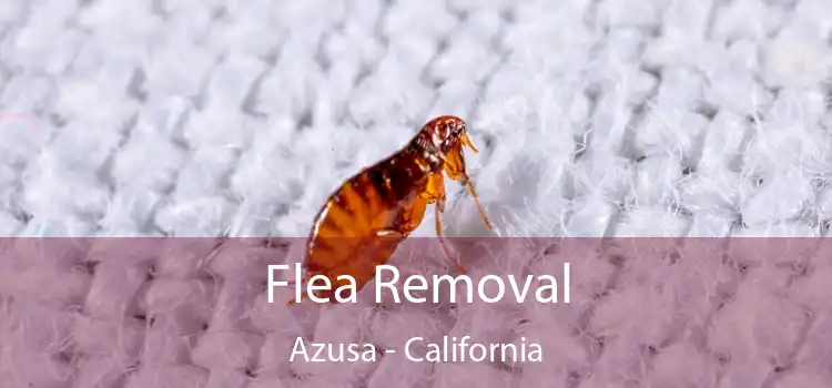 Flea Removal Azusa - California