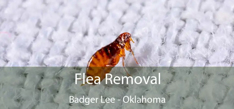 Flea Removal Badger Lee - Oklahoma