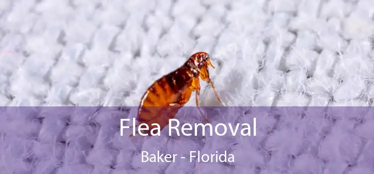 Flea Removal Baker - Florida