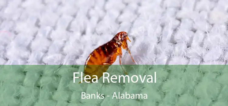 Flea Removal Banks - Alabama